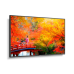 Nec Display Solutions MA491 49" 4K DISPLAY/SoC MEDIA PLAYER - TAA Compliance MA491-MPI4E