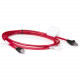 HPE Cat5 Patch Cable - RJ-45 Male - RJ-45 Male - 12ft - Red - ENERGY STAR, TAA Compliance 263474-B23