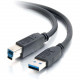 C2g 1m USB 3.0 Cable - USB A to USB A - M/M - 3.20 ft USB Data Transfer Cable - First End: 1 x Type A Male USB - Second End: 1 x Type B Male USB - Shielding - Black - RoHS Compliance 54173