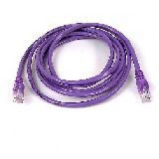 Belkin Cat. 5E UTP Patch Cable - RJ-45 Male - RJ-45 Male - 1ft - Purple - TAA Compliance A3L791-01-PUR-S