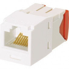 Panduit Network Connector - 1 x RJ-45 Female - Arctic White - TAA Compliance CJ5E88TGAW