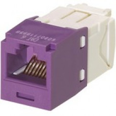 Panduit Mini-Com Cat.6 Network Connector - 100 Pack - 1 x RJ-45 Male - Violet - TAA Compliance CJ688TGVL-C