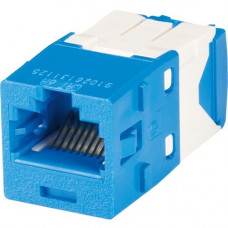 Panduit Network Connector - 1 Pack - 1 x RJ-45 Female - Blue - TAA Compliance CJ6X88TGBU