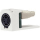 Panduit Mini-Com Video Connector - 1 x - International Gray - TAA Compliance CJSVIG