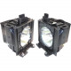 eReplacements Compatible projector lamp (2 pack) for Panasonic PT-D5500, PT-D5600, PT-DW5000 - Projector Lamp - 2000 Hour - TAA Compliance ET-LAD55W-ER
