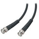 Black Box Coax Cable - BNC Male Video - BNC Male Video - 50ft - Black ETN59-0050-BNC