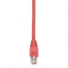 Black Box GigaTrue Cat. 6 UTP Patch Cable - RJ-45 Male - RJ-45 Male - 6ft - Red EVNSL643-0006