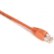 Black Box GigaBase Cat.5e UTP Patch Network Cable - 1 ft Category 5e Network Cable for Patch Panel, Wallplate, Network Device - First End: 1 x RJ-45 Male Network - Second End: 1 x RJ-45 Male Network - 1 Gbit/s - Patch Cable - Gold Plated Contact - CM - 24