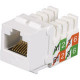 Black Box GigaBase2 FMT929-R2 Network Connector - 1 Pack - 1 x RJ-45 Female - White FMT929-R2