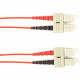 Black Box Fiber Optic Duplex Patch Network Cable - 3.20 ft Fiber Optic Network Cable for Network Device - First End: 2 x SC Male Network - Second End: 2 x SC Male Network - 10 Gbit/s - Patch Cable - OFNR - 50/125 &micro;m - Red - TAA Compliant FOCMR10