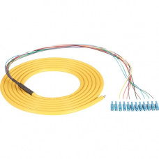 Black Box OS2 9-Micron Single-Mode Fiber Optic Pigtail - 12-Strand, OFNR, PVC - 9.84 ft Fiber Optic Network Cable for Network Device - First End: 12 x LC Male Network - Pigtail - Trunk Cable - OFNR - 9 &micro;m - Yellow FOPT50S1-LC-12YL-3