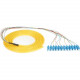 Black Box OS1 Single-Mode Fiber Optic Pigtail, 12-Strand, SC, Yellow, 3-m (9.8-ft) - 9.80 ft Fiber Optic Network Cable for Network Device - First End: 1 x Pigtail - Second End: 12 x SC Male Network - Yellow FOPT50S1-SC-12YL-3