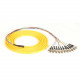 Black Box 3m ST OS2 9-Micron SM Fiber Pigtail 12-Strand OFNR PVC Yellow - 9.84 ft Fiber Optic Network Cable for Network Device - First End: 12 x ST Male Pigtail - Trunk Cable - OFNR - 9 &micro;m - Yellow FOPT50S1-ST-12YL-3