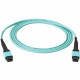 Black Box Fiber Optic Network Cable - 16.40 ft Fiber Optic Network Cable - First End: 1 x MTP/MPO Network - Second End: 1 x MTP/MPO Network - Aqua FOTC20M3-MP-12AQ-5