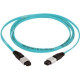 Panduit Fiber Optic Network Cable - Fiber Optic for Network Device - 65.62 ft - 1 Pack - MPO Female Network - MPO Female Network - 50/125 &micro;m - Aqua - TAA Compliance FZ12D5-5M20Y
