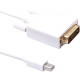 Axiom DisplayPort/DVI-D Video Cable - 6 ft DisplayPort/DVI-D Video Cable for Monitor, Desktop Computer, Notebook, Video Device - Mini DisplayPort Male Digital Audio/Video - DVI-D (Dual-Link) Male Digital Video - 896 MB/s - Supports up to 1920 x 1200 - Gol