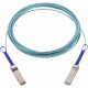 Accortec Active Fiber Cable, ETH 100GbE, 100Gb/s, QSFP, 15m - 49.21 ft Fiber Optic Network Cable for Network Device, Switch - First End: 1 x QSFP Network - Second End: 1 x QSFP Network - 12.50 GB/s MFA1A00-C015-ACC
