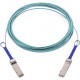 Accortec Fiber Optic Network Cable - 3.28 ft Fiber Optic Network Cable for Network Device - QSFP Network - 12.50 GB/s MFA1A00-E001-ACC