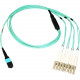 Axiom Fiber Optic Network Cable - 19.69 ft Fiber Optic Network Cable for Network Device - First End: 1 x MTP/MPO Female Network - Second End: 8 x LC Male Network - 50/125 &micro;m - Aqua MP8LCOM4R6M-AX