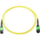 Axiom MPO Male to MPO Male Singlemode 9/125 Fiber Optic Cable - 8m - Fiber Optic for Network Device - 26.25 ft - 2 x MPO Male Network - 2 x MPO Male Network - 9/125 &micro;m - Yellow - RoHS Compliance MPOMMSM8M-AX