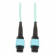 Tripp Lite 2M MTP / MPO Fiber Optic Patch Cable 12 Fiber 40GbE Aqua OM3 Plenum 6ft 6&#39;&#39; 2 Meter - 12 Fiber,40GbE, 40GBASE-SR4,OM3 Plenum-rated - Aqua, 2M (6-ft.)" - RoHS, TAA Compliance N844-02M-12-P