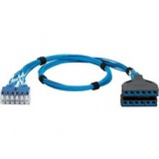 Panduit QuickNet Cat.6 U/UTP Network Cable - 5 ft Category 6 Network Cable for Network Device - First End: 1 x RJ-45 Male Network - Second End: 2 x Cassette - Blue - 1 Pack - TAA Compliance QPCSDBBBB05