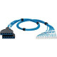 Panduit QuickNet Cat.6 U/UTP Network Cable - 20 ft Category 6 Network Cable for Network Device - First End: 1 x RJ-45 Male Network - Second End: 1 x Cassette - Blue, Clear - 1 Pack - TAA Compliance QPCSDBWXB20