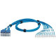 Panduit QuickNet Cat.6 UTP Network Cable - 3 ft Category 6 Network Cable for Network Device - First End: 1 x RJ-45 Male Network - Second End: 1 x RJ-45 Male Network - Blue, Clear - 1 Pack - TAA Compliance QPPSDBBB03