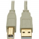 Tripp Lite 6ft USB 2.0 Hi-Speed A/B Cable M/M 28/24 AWG 480 Mbps Beige 6&#39;&#39; - USB for Scanner, Notebook, Printer - 60 MB/s - 5.91 ft - 1 x Type A Male USB - 1 x Type B Male USB - Gold-plated Contacts, Gold Plated - Shielding - Beige U022-00
