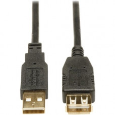Tripp Lite 10ft USB 2.0 Hi-Speed Extension Cable Shielded A Male / Female - Type A Male USB - Type A Female USB - 10ft U024-010