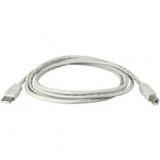 Black Box USB 2.0 Passive Extension Cable - Type A Male USB - Type A Male USB - 10ft USB05E-0010