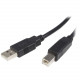 Startech.Com 10 ft USB 2.0 Certified A to B Cable - M/M - Type A Male - Type B Male - 10ft - Black - RoHS Compliance USB2HAB10