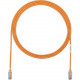 Panduit Cat.6 U/UTP Patch Network Cable - 1.64 ft Category 6 Network Cable for Network Device - First End: 1 x RJ-45 Male Network - Second End: 1 x RJ-45 Male Network - Patch Cable - 28 AWG - Clear, Orange - 25 - TAA Compliance UTP28SP0.5MOR-Q