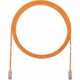 Panduit Cat.6 U/UTP Patch Network Cable - 180.46 ft Category 6 Network Cable for Network Device - First End: 1 x RJ-45 Male Network - Second End: 1 x RJ-45 Male Network - Patch Cable - 28 AWG - Clear, Orange - 25 - TAA Compliance UTP28SP5.5MOR-Q