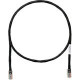 PANDUIT Cat.5e UTP Patch Cable - RJ-45 Male Network - RJ-45 Male Network - 14ft - Black - TAA Compliance UTPCH14BLY