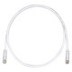 PANDUIT Cat.6 UTP Patch Cord - RJ-45 Male Network - RJ-45 Male Network - 25ft - Off-white, Clear - TAA Compliance UTPSP25Y
