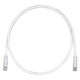PANDUIT Cat.6 UTP Patch Cord - RJ-45 Male Network - RJ-45 Male Network - 30ft - Off-white, Clear - TAA Compliance UTPSP30Y