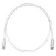 PANDUIT Cat.6 UTP Patch Cord - RJ-45 Male Network - RJ-45 Male Network - 3ft - Off-white, Clear UTPSP3Y