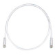PANDUIT Cat.6 UTP Patch Cord - RJ-45 Male Network - RJ-45 Male Network - 7ft - Off-white, Clear - TAA Compliance UTPSP7Y