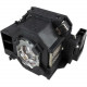 Battery Technology BTI Projector Lamp - 170 W Projector Lamp - UHE - 4000 Hour Low Brightness Mode - TAA Compliance V13H010L41-BTI