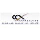 Ccx  64MB FLASH CARD 1 FLASH 32MB 128MB MEM1800-32U64CF(CCX)