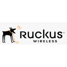 Ruckus Wireless - 10GBase direct attach cable - QSFP+ to SFP+ - 3.3 ft - active E40G-QSFP-4SFP-C-0101